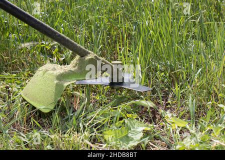 Une tondeuse à main tond l'herbe en été dans le jardin. Pour un magasin d'équipement de jardin. Placer pour le texte. Banque D'Images