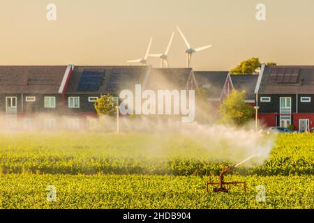 Arroseur d'irrigation sur les terres agricoles devant les maisons hollandaises avec panneaux solaires et moulins à vent Banque D'Images