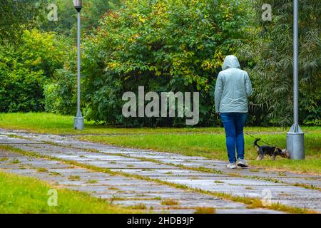 vue arrière, une femme adulte dans une veste chaude d'automne marche avec un chien dans un parc de la ville Banque D'Images