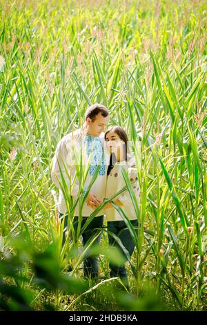 Jeune couple en chemises ukrainiennes dans un champ de maïs Banque D'Images