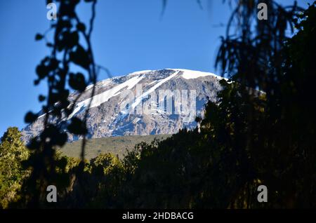 Magnifique vue sur la plus haute montagne d'Afrique Kilimanjaro vue de la forêt tropicale.Neige et glaciers au sommet Banque D'Images