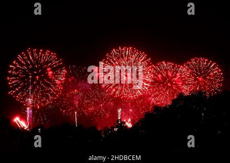 Magnifique photo d'un feu d'artifice rouge dans un ciel sombre Banque D'Images