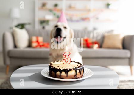 Gâteau d'anniversaire savoureux avec bougie sur table et adorable chien dans un chapeau de fête dans le salon, foyer sélectif Banque D'Images