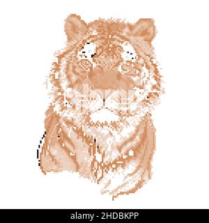 Tiger pixel, vecteur pixel art tigre isolé dessin animé.Design pixel art Illustration de Vecteur