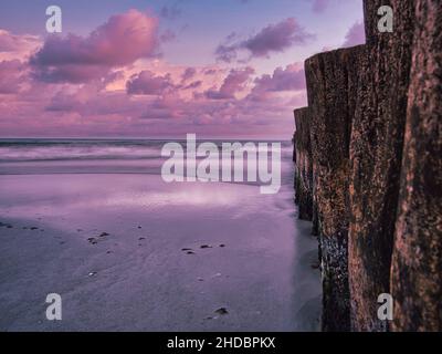 groynes joyant dans la mer. prise à zingst sur le darss. la perspective est orientée vers l'horizon Banque D'Images