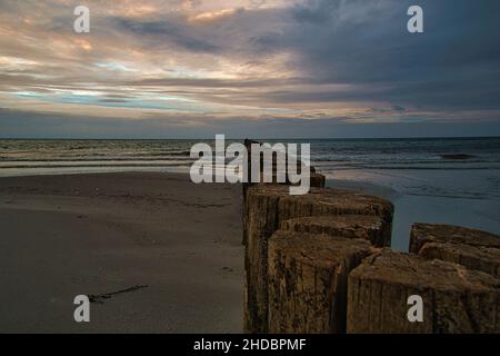 groynes joyant dans la mer. prise à zingst sur le darss. la perspective est orientée vers l'horizon Banque D'Images