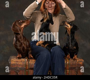 Trois dachshunds de différents types s'assoient sur les genoux de leur maîtresse Banque D'Images