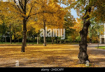 Impressions d'automne et feuilles d'automne dans un parc, Berlin, Allemagne, Europe Banque D'Images