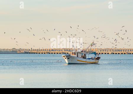 Le vieux bateau de pêche revenant de la pêche entre dans le port au coucher du soleil accompagné d'un troupeau de mouettes Banque D'Images