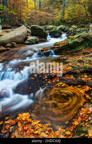 Vallée de l'Ilse d'automne dans les montagnes du Harz, ruisseau de montagne, Ilsenburg, Saxe-Anhalt, Allemagne,Europe Banque D'Images