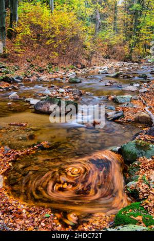 Vallée de l'Ilse d'automne dans les montagnes du Harz, ruisseau de montagne, Ilsenburg, Saxe-Anhalt, Allemagne,Europe Banque D'Images