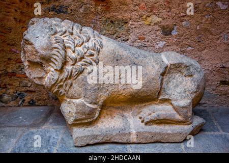 Lion, Musée, fort génois de Matra, ville romaine d'Aleria, Corse, Aleria, Corse, France,Europe Banque D'Images