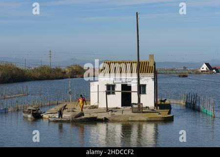 El Perello, Espagne.4 janvier 2022.Petite maison blanche isolée dans le parc naturel de Gola de El Perello Albufera Banque D'Images