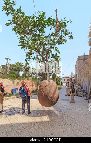 TEL AVIV, ISRAËL - 17 SEPTEMBRE 2017 : l'arbre orange flottant dans l'air est une installation d'art dans l'ancien Jaffa, un vrai arbre planté dans un pot dans le TH Banque D'Images