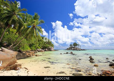 Felsen und Palmen, La Digue, Seychellen Indischer Ozean, Banque D'Images