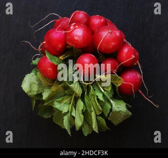 Photographie d'un groupe de radis rouges sur fond d'ardoise pour des illustrations de nourriture Banque D'Images