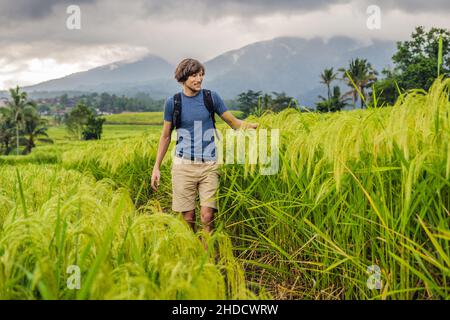 Jeune homme voyageur sur de belles terrasses de riz Jatiluwih sur le fond de célèbres volcans à Bali, Indonésie Banque D'Images