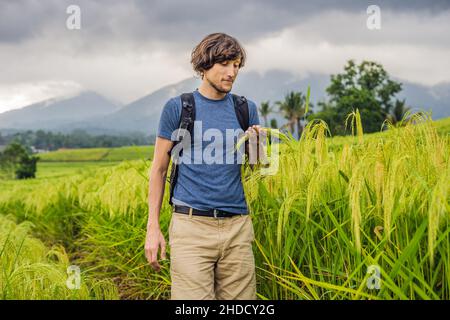 Jeune homme voyageur sur de belles terrasses de riz Jatiluwih sur le fond de célèbres volcans à Bali, Indonésie Banque D'Images