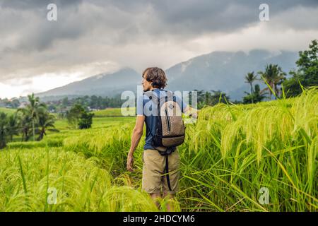 Jeune homme voyageur sur de belles terrasses de riz Jatiluwih sur le fond de célèbres volcans à Bali, Indonésie Banque D'Images