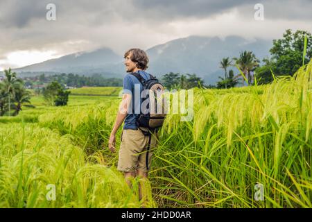 Jeune homme voyageur sur de belles terrasses de riz Jatiluwih sur le fond de célèbres volcans à Bali, Indonésie Banque D'Images