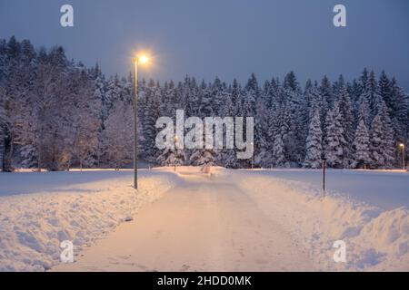 route fraîchement défriché vers la forêt dans la zone rurale après une forte chute de neige en hiver avec un lampadaire brillant Banque D'Images