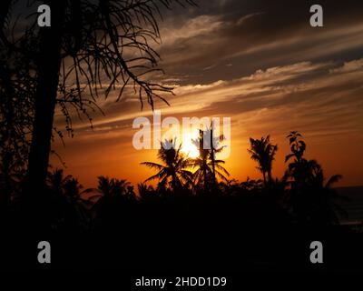 Palmiers et coucher de soleil dans l'orang lumineux au Costa Rica Banque D'Images