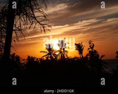 Palmiers et coucher de soleil dans l'orang lumineux au Costa Rica Banque D'Images