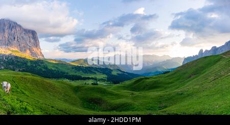 Lever de soleil dans la couleur d'été brumeux des montagnes. Le parc national du Triglav, en Slovénie, les Alpes Juliennes, l'Europe. Banque D'Images