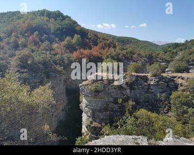 Vue aérienne d'une forêt luxuriante dans une montagne Banque D'Images