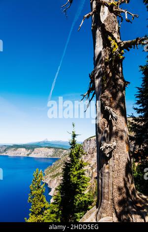 Parc national de Crater Lake ; Cascade Mountains ; est de l'Oregon ; États-Unis Banque D'Images