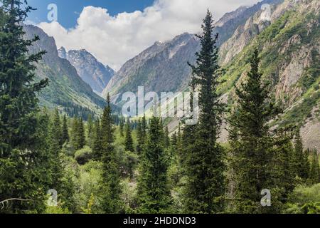 Vallée d'Ala Archa au Kirghizistan Banque D'Images