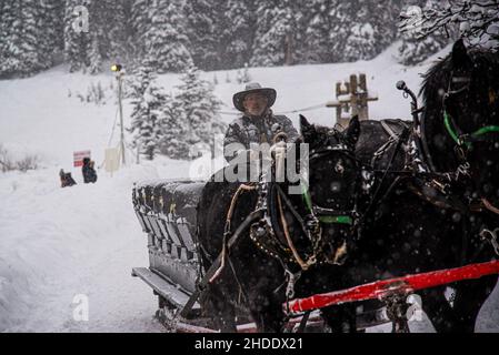 Lake Louise, Canada - décembre 22 2021 : chevaux de calèche tournant sur le lac Louise gelé Banque D'Images