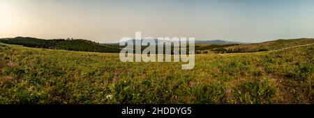 Panorama du Mont Washburn depuis Specimen Ridge dans le parc national de Yellowstone Banque D'Images