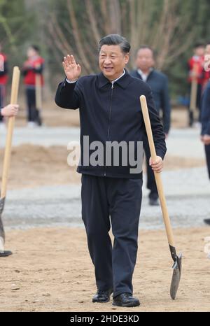 Pékin, Chine. 2 avril 2021. Le président chinois Xi Jinping, également secrétaire général du Comité central du Parti communiste de Chine et président de la Commission militaire centrale, se présente devant les responsables et les gens sur place lors d'une activité de plantation d'arbres dans le district de Chaoyang à Beijing, capitale de la Chine, le 2 avril 2021. Ont également participé à l'activité d'autres dirigeants, dont Li Keqiang, Li Zhanshu, Wang Yang, Wang Huning, Zhao Leji, Han Zheng et Wang Qishan. Credit: Yao Dawei/Xinhua/Alay Live News Banque D'Images