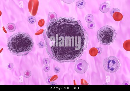 Cellules de lymphome non hodgkinien (LNH) dans le flux sanguin - vue rapprochée 3D illustration Banque D'Images