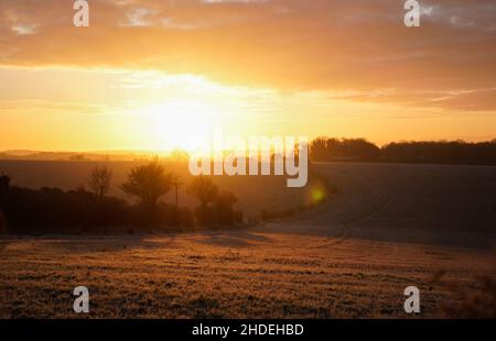 Le soleil se lève près de Preston Candover dans le Hampshire.Date de la photo: Jeudi 6 janvier 2022. Banque D'Images