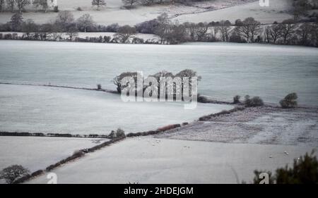 Brighton UK 6th janvier 2022 - Graze de mouton dans les champs près de Devils Dyke Brighton que les températures plonissent bien en dessous de zéro avec quelques parties du nord prévisions pour obtenir de la neige sur le terrain supérieur : Credit Simon Dack / Alamy Live News Banque D'Images