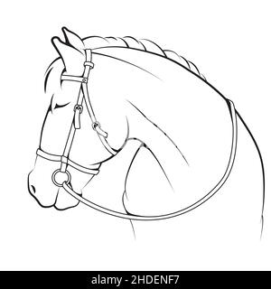 Tête de profil de cheval réaliste et tour de cou.Illustration vectorielle Illustration de Vecteur