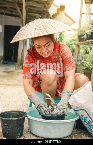 Jardinier Thai femme en gants avec chapeau de paille plante des fleurs dans le jardin.Concept de petite entreprise.Fleurs en pot colorées Euforbia Spurges apportent Banque D'Images