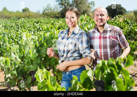 homme et femme jardiniers dans la cour des raisins. Banque D'Images