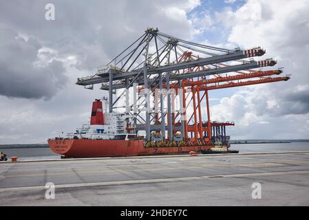 DP World London Gateway, quai d'arrivée des grues, conteneurs d'expédition Banque D'Images