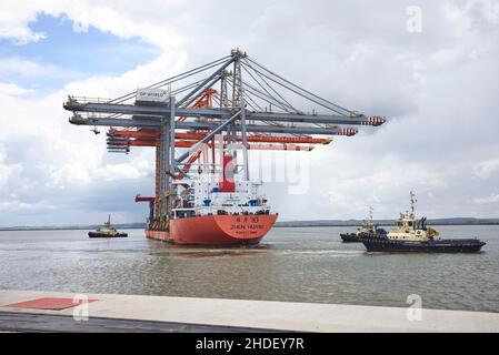 DP World London Gateway, quai d'arrivée des grues, conteneurs d'expédition Banque D'Images