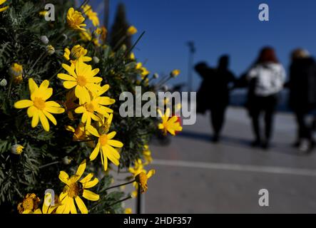 (220106) -- ISTANBUL, 6 janvier 2022 (Xinhua) -- les gens marchent le long de la rive du détroit du Bosphore à Istanbul, Turquie, 5 janvier 2022.(Xinhua/Shadati) Banque D'Images