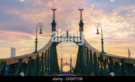 budapest, pont de la liberté, bourgeonnement, ponts de la liberté Banque D'Images