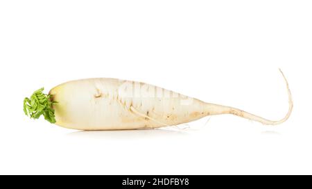 radis, rond espagnol noir, radis Banque D'Images