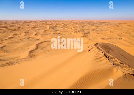 Riyad, Arabie Saoudite.06th janvier 2022.Paysage dune et sable pendant la phase 5 du Dakar Rally 2022 autour de Riyad, le 6th 2022 janvier à Riyad, Arabie Saoudite - photo Florent Gooden / DPPI Banque D'Images