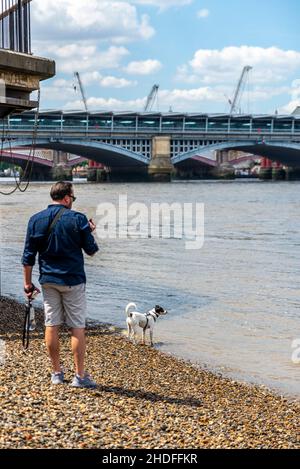 Homme marchant son chien le long de la plage urbaine de Southbank avec le pont de chemin de fer de Cannon Street au loin Banque D'Images