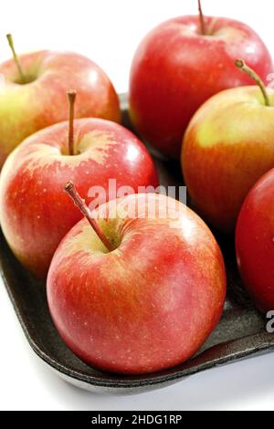 pomme, variété de pomme, jonagold, pommes, variétés de pomme,jonagolds Banque D'Images