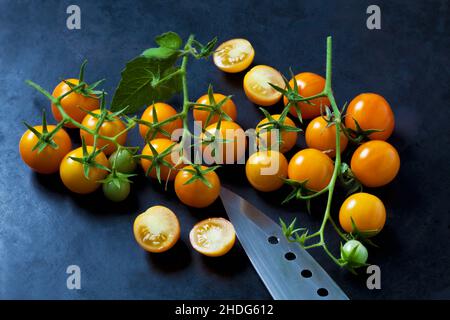 tomates, nuggets dorés, tomates Banque D'Images