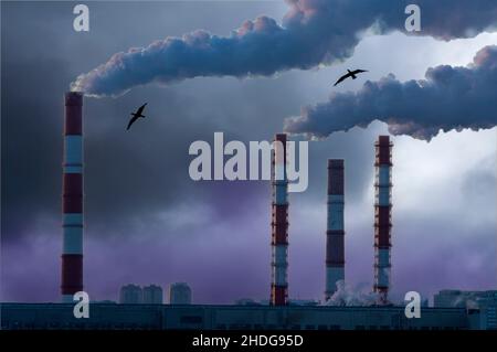 Fumée de la cheminée de l'usine.Pollution écologique.Les émissions atmosphériques polluent la ville. Banque D'Images